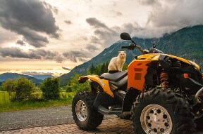 Quad-Versicherung im Vergleich 